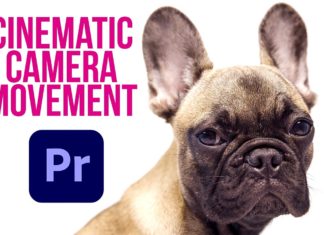 Cinematic Camera Movement In Premiere Pro