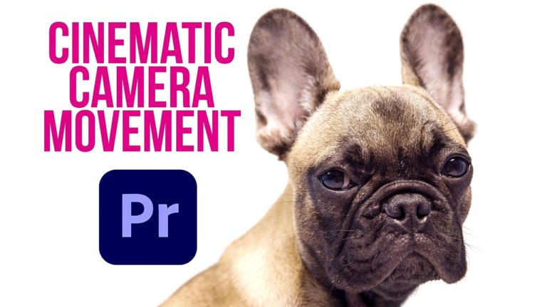 Cinematic Camera Movement In Premiere Pro